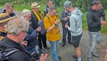 Radieschen und Eierlecker